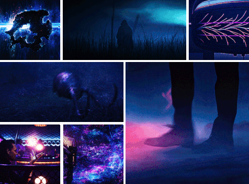 tumblr 9cb24d0a86edde0968d0d0e5d7b886ff 54b417fc 1280.gif