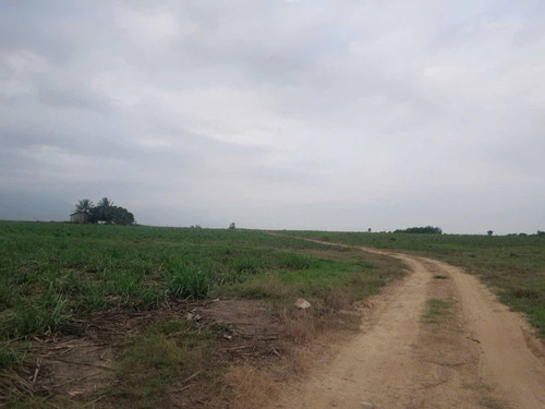 500919967 1024561069808791 7939249514164671886 n.jpg