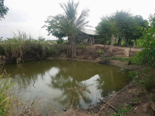 500666344 1024561073142124 8418520722582737557 n.jpg