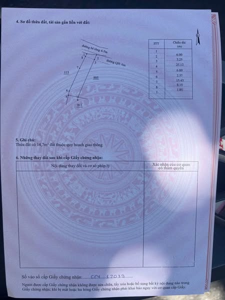 500809990 1440047560364285 5866198023054596947 n.jpg