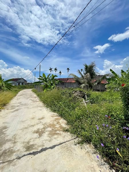 502584684 1440047520364289 2957889070211568576 n.jpg