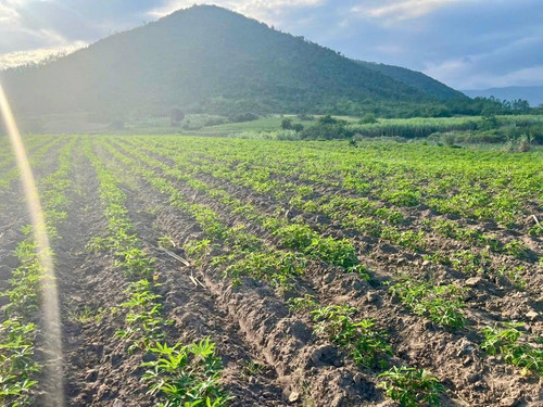 501429660 1024562159808682 5048470438692639467 n.jpg