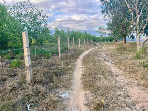 502112945 1024562143142017 1470513233241341891 n.jpg