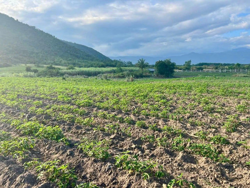 501915180 1024562219808676 7122404284870218976 n.jpg