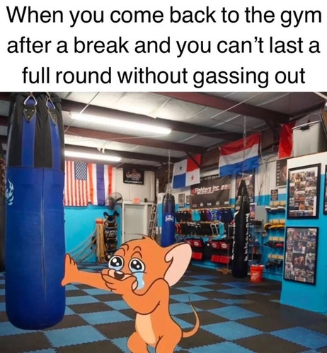 aiease 1748578689899.jpg