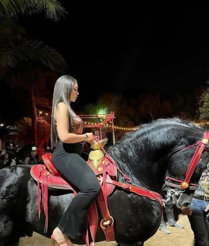 500546049 689118093873856 379565261095586995 n.jpg