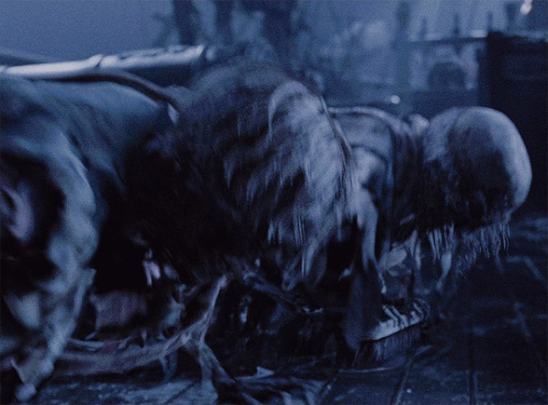 tumblr 3a3f09685938a256b427d57da76ed883 cd9d60fd 540.gif