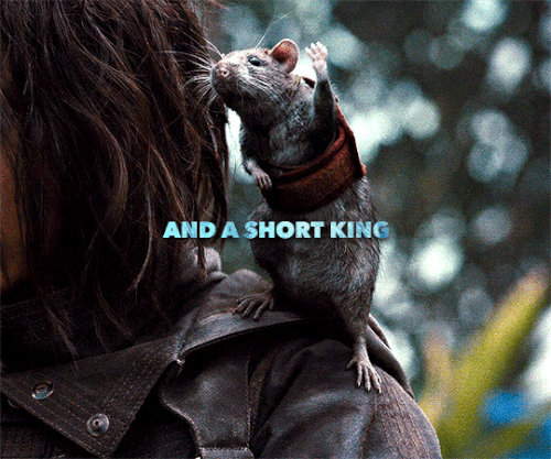 tumblr a96f036826d4fed24cdc98fea359dd75 e6e2f429 540.gif