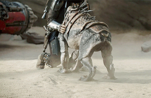 tumblr 0490b3e42aa5e4662be1f07250eb5977 a89bed0d 540.gif