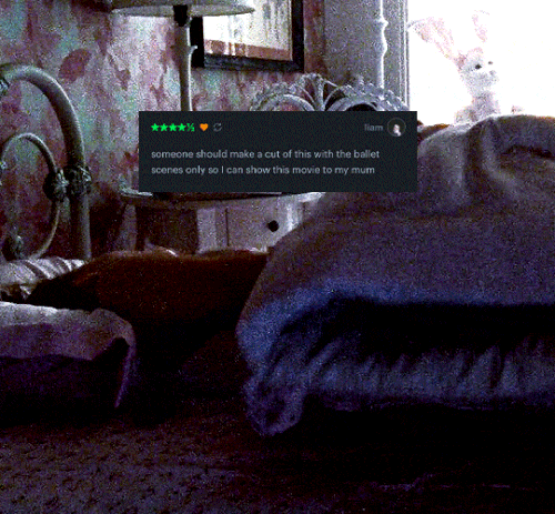 tumblr b60791e9ae80c276fe52c9304d58cdb1 4475ab3c 540.gif