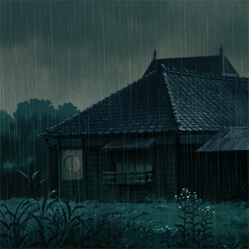 tumblr 480088ee535968d51104b6741e9f9e5b 889850ce 540.gif