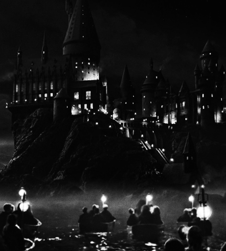 tumblr 5365dbb748f5e9cc26ddb74e7c796496 b11029b3 540.gif