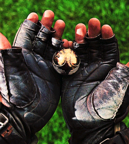 tumblr f6be29d282ff86a935ce812a258f5a8e 8fcd8715 540.gif