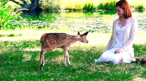 tumblr b838fa66cf41c6e87914877dc96da454 d380fea8 540.gif