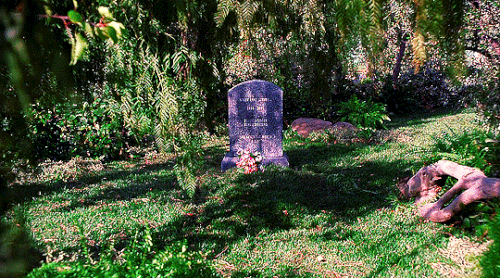 tumblr aa8544ebe076e736b31b1843511941fe d579c38d 540.gif