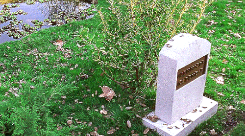 tumblr 841e10c8f0d13cd76e5234a783b173eb f46f6a60 540.gif