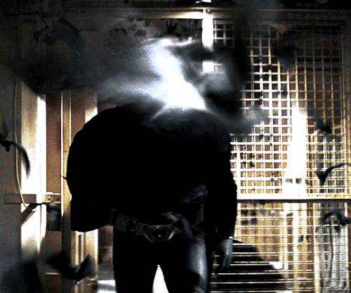 tumblr 15ea12c831334b8e6c6518eb232d6185 18cb8cee 540.gif