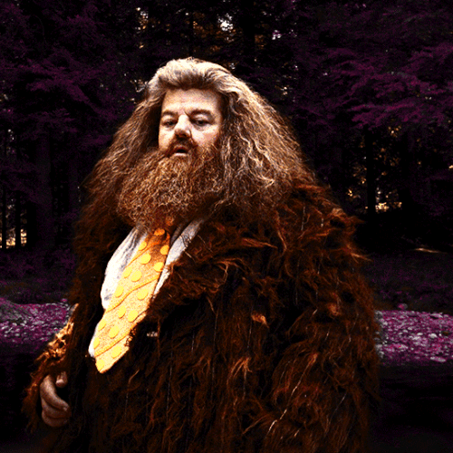 tumblr a046eddb0e21c1cc53d24d0823d41f57 965490c9 540.gif