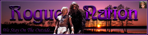 WildB Banner.jpg