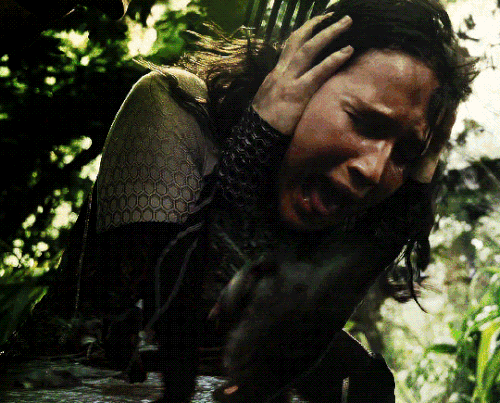 tumblr 1da5e794e6dcbc5c677b80610bcbee93 59782602 540.gif