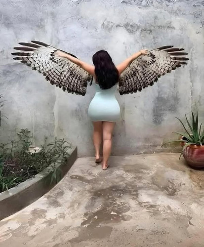 500220726 1252282346456165 2121857766994348047 n.jpg