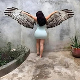 500220726 1252282346456165 2121857766994348047 n