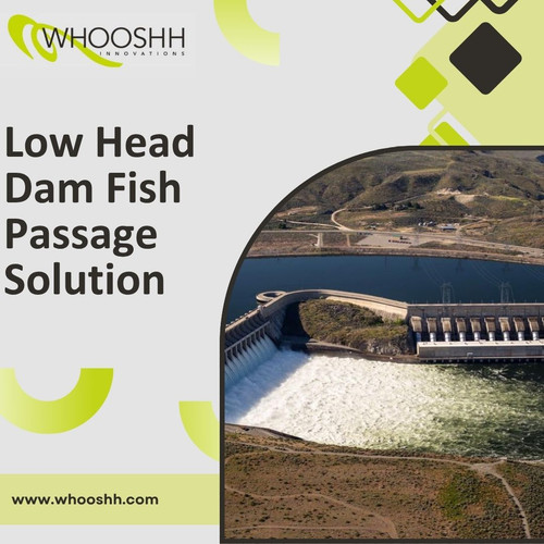 Low Head Dam Fish Passage Solution (1).jpg