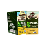 Cigarro de Palha Terra tombada Menta Display + Maço 4815 4798 (2)