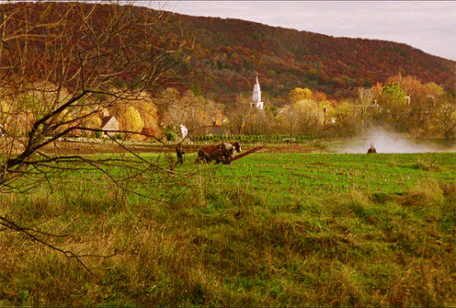 tumblr 5c88ed58a604d5258d73cd3ae5494ce5 1537a8de 540.gif