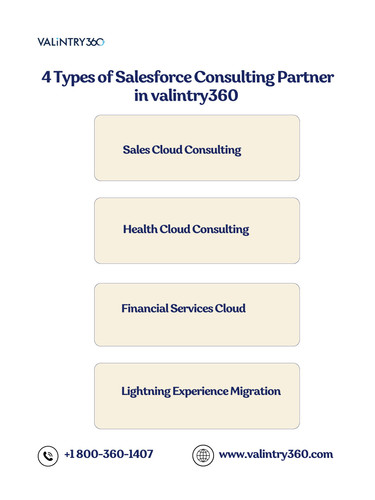 4 Types of Salesforce Consulting Partner in valintry360ual product (2).jpg