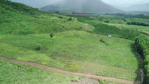 500853491 1375017393707387 2579464849968463356 n.jpg