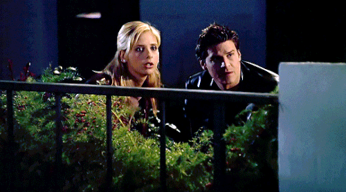 tumblr 6a7468a02ea285d9da86711308ab5388 3f18ceb7 540.gif