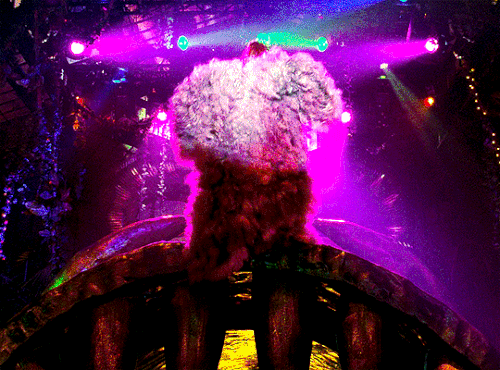 tumblr d20b04ae6c04042ede3ae48d3b39ec8c dfa47740 540.gif