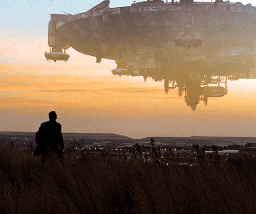 tumblr d5f18d6a42362a8cd31f2190ff5273d3 329a7030 540.gif