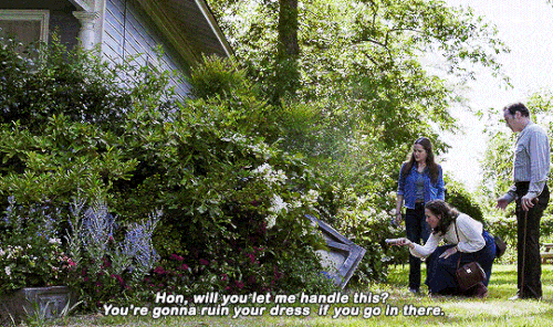 tumblr 4df8b20a388134dc360fa959871d7875 1741ac48 540.gif