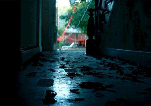 tumblr e312f8b21bd14c8acdd8fd76244935ec 839bf4c7 540.gif