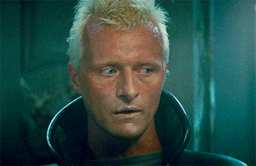 tumblr 27c49146c4598caf90aa7a7a6b76e5ec 4958ef7f 540.gif