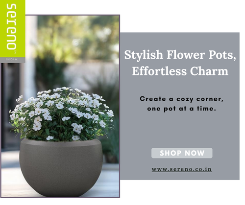 Stylish flower pots for Every Corner of Your Home.png