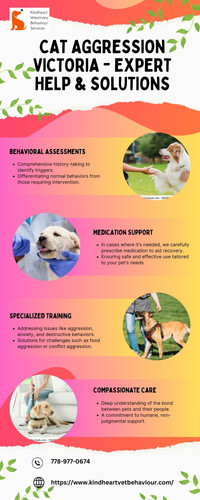 Cat Aggression Victoria Expert Help & Solutions.jpg