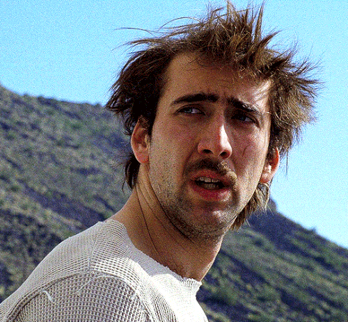 tumblr e0a0b2e88516823ba9836bc49b2d1a4c cac66f11 540.gif