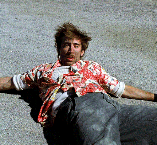 tumblr 19094d187e9a46d953b3c13cdde1e870 08c14ed5 540.gif