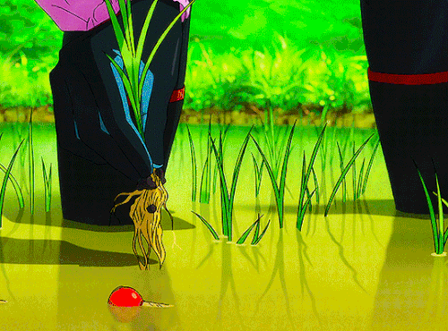 tumblr a6d6267171360461a07e162e4a9ed990 7107ae73 540.gif