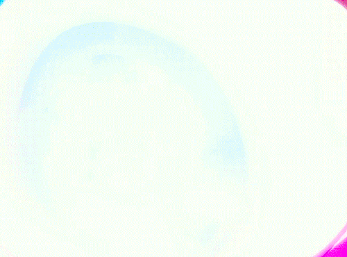 tumblr c428d739b8e26731bf61ed41fcfa4cbd 17d422c4 540.gif