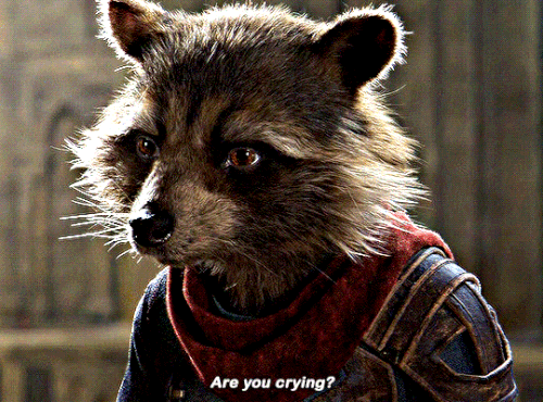 tumblr 1ae93210eb6e56ded765e102af2876fd 9eb74e97 540.gif