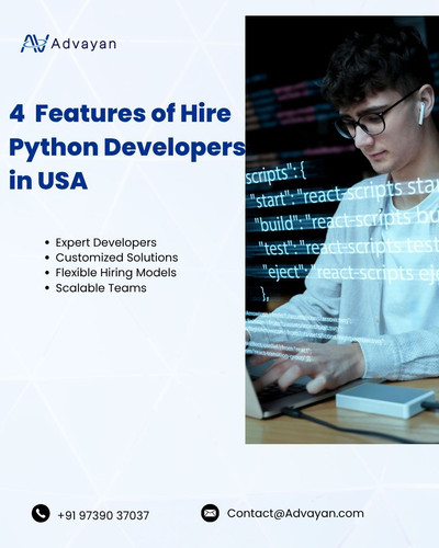 Hire Python Developers in USA.jpg