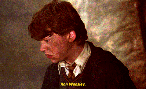 tumblr e57012a5b8cfe3a46e11344bc7724f96 de84af39 540.gif