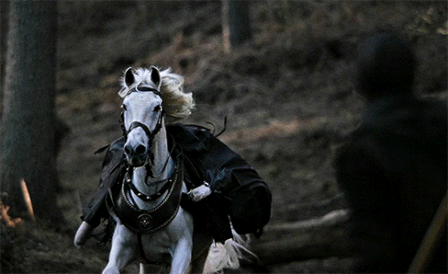 tumblr 393e33882b7db89f71b366b17260aa5a 052af447 540.gif