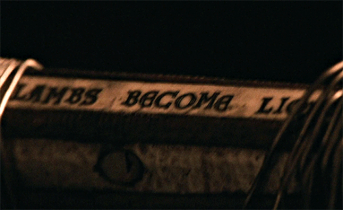 tumblr 2a1f1d01298d4ee882c43de92a360e4e 897def5d 540.gif
