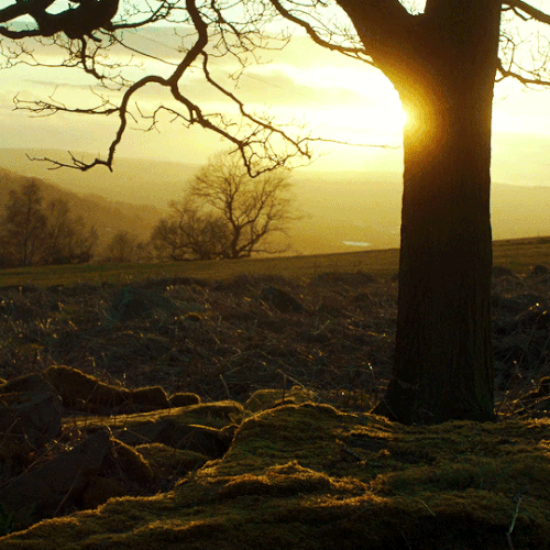 tumblr 906d3489e248189a7f1c230737b2046b 6b5ef7b6 540.gif