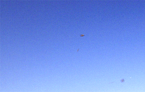 tumblr 6cdfa90529b9c47eda8e0430da23c6f1 5d536cfa 540.gif